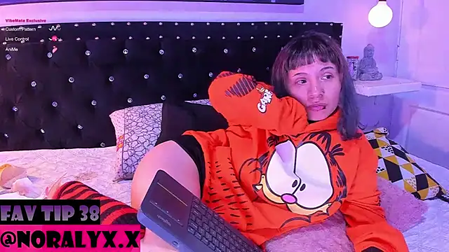 hey_noraly webcam
