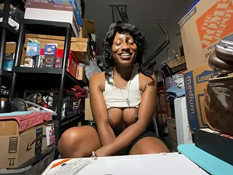 wynterheat webcam