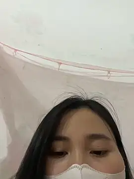 Zinsetka webcam