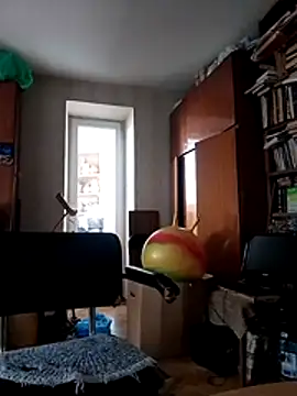 Pokaz2020 webcam