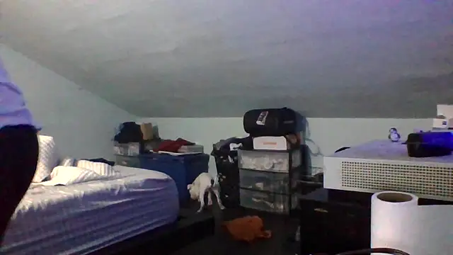 ReeferMadness59 webcam