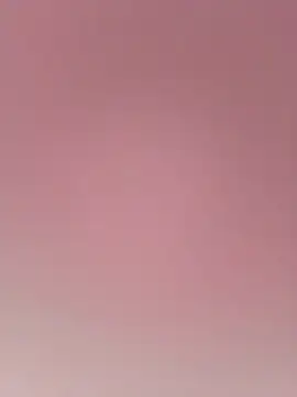 daisyy2 webcam