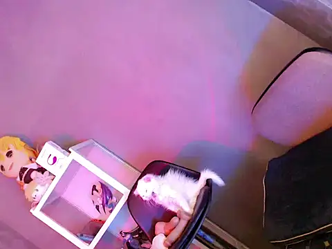 coffe_cat28 webcam