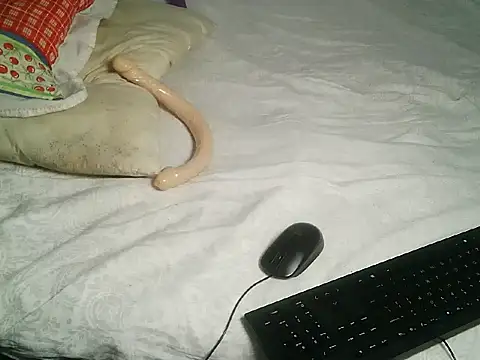 midd_nightnurse webcam
