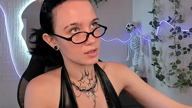 Elastikisss webcam