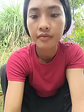 Hoa-tuylip webcam
