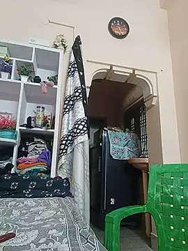 Hansikatelugu webcam
