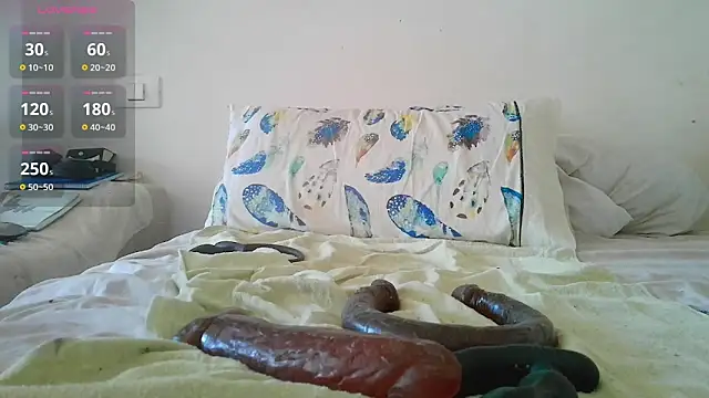 canarito18 webcam