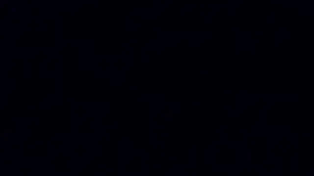 A_model1 webcam