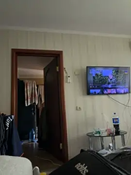 Frosl webcam