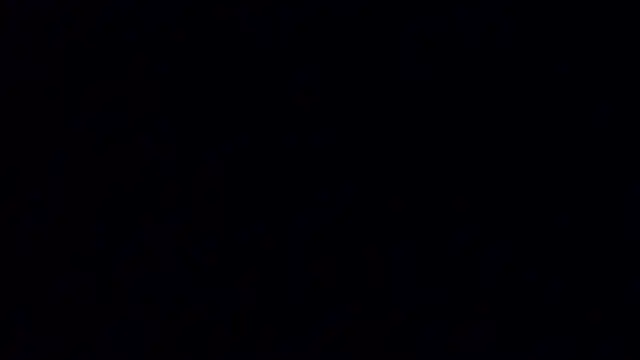 A_model1 webcam