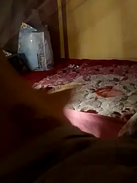 -Tara-a