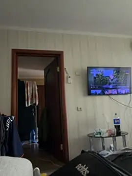 Frosl webcam