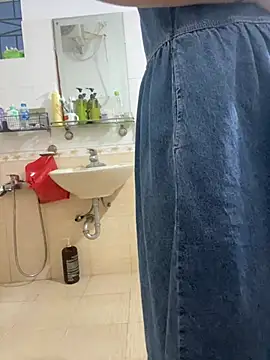 Hatasimi webcam