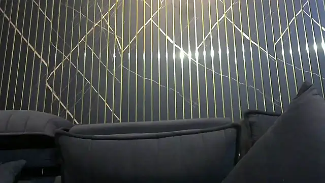 Strip_Lisa webcam