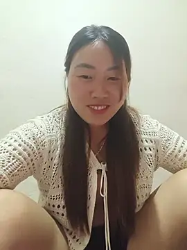 he-se-kin webcam