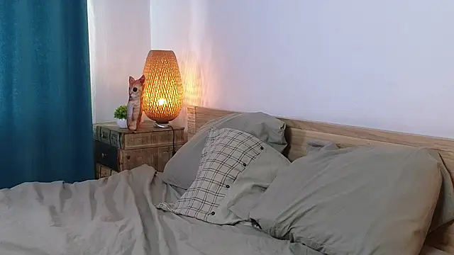 PaulettaGuinane webcam