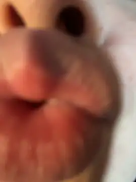AnneDixie