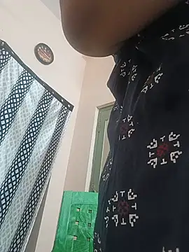 Hansikatelugu webcam