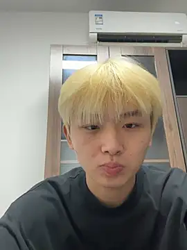Cnmp6666 webcam