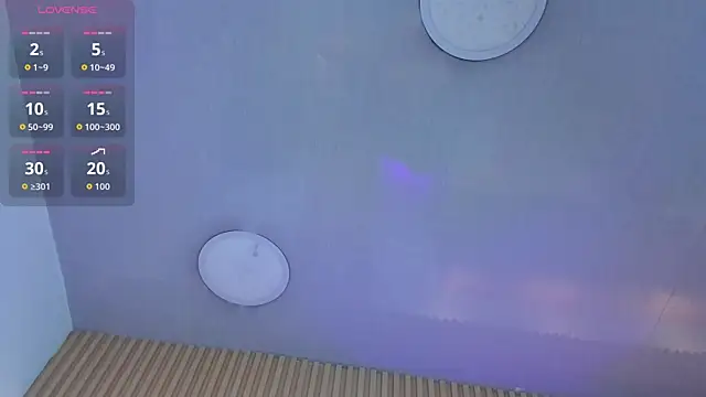 1Sloppy_Fox4 webcam