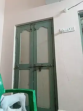 Hansikatelugu webcam