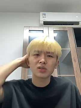 Cnmp6666 webcam