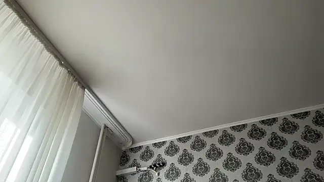 tomasdickpick webcam