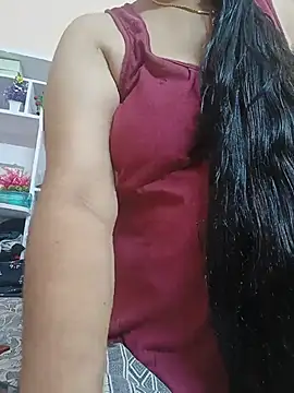 Hansikatelugu webcam