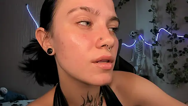 Elastikisss webcam