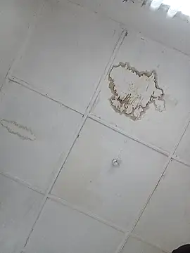 cutesassy webcam