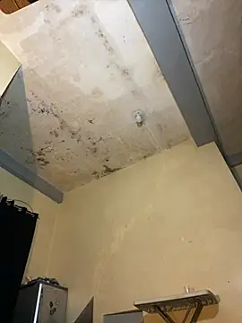 sweetyula webcam
