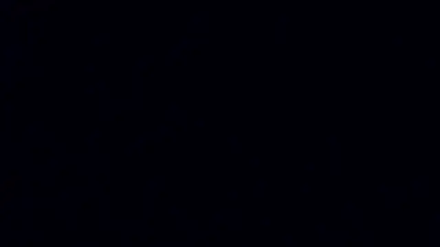 A_model1 webcam