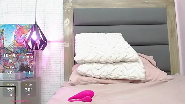 LINASTARK webcam