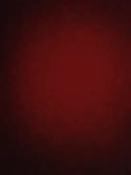 MAMIDRjk webcam