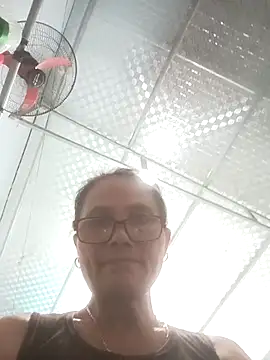 Vieekee webcam