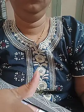 Hansikatelugu webcam