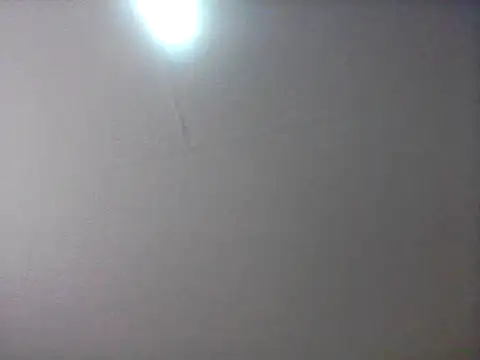 bogbosdick webcam