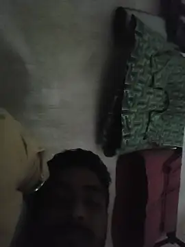 lm12334 webcam