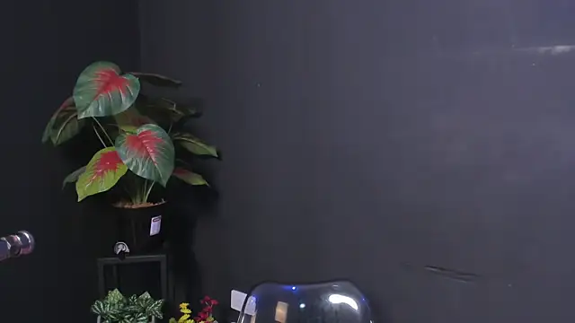 Amy_whittee webcam