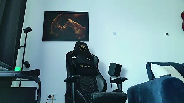 ChrisKox webcam