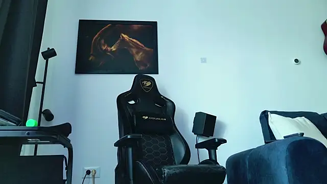 ChrisKox webcam