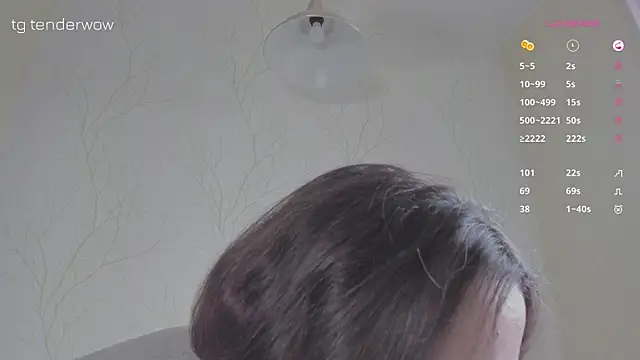 Tenderalise webcam