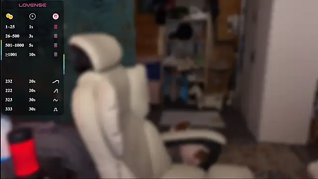 _dota2_ webcam