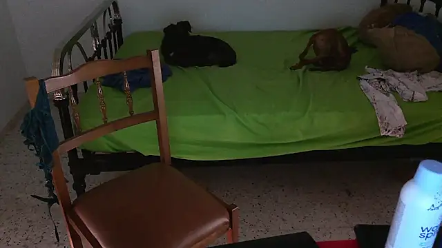 Maebi webcam