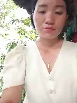 Td3di webcam