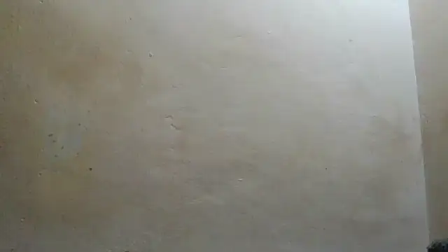 Cozybear webcam