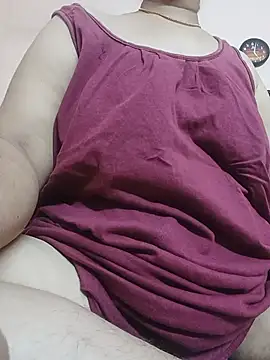 Hansikatelugu webcam