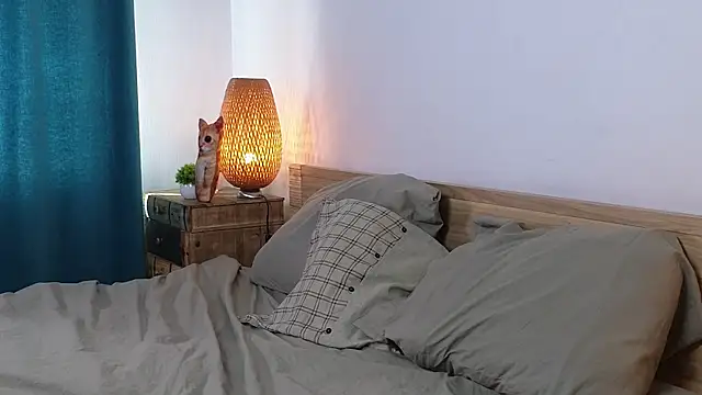 PaulettaGuinane webcam
