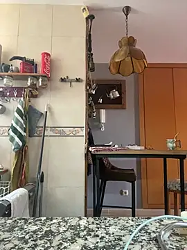 camelia3 webcam